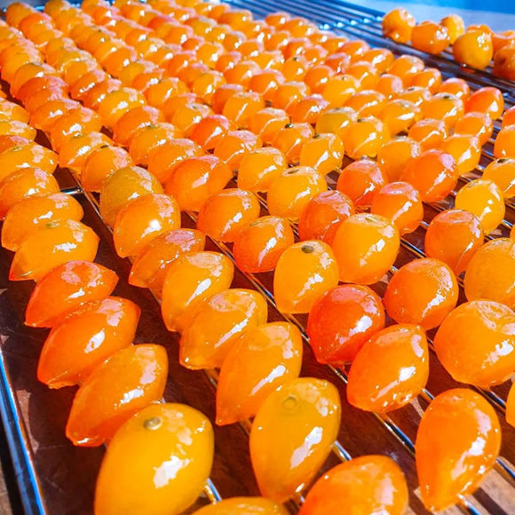 Close-up of Kumquat Jelly on a metal rack.