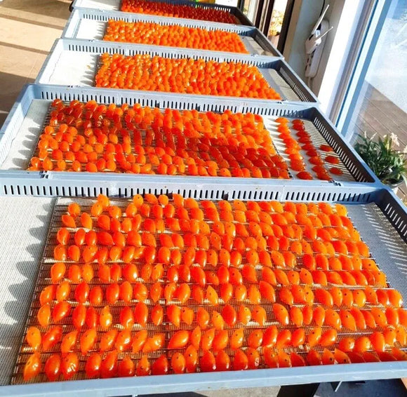 Trays of Kumquat Jellies arranged outdoors