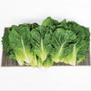 Green leafy vegetables on a white background
